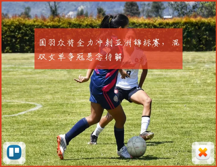 国羽众将全力冲刺亚洲锦标赛，混双女单争冠悬念待解 - 爱游戏