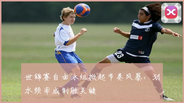 世锦赛自由泳组掀起节奏风暴，划水频率成制胜关键