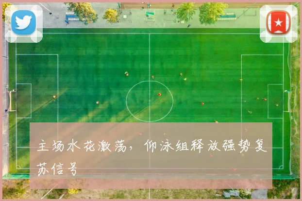 主场水花激荡，仰泳组释放强势复苏信号