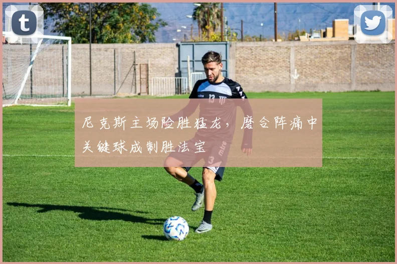 尼克斯主场险胜猛龙，磨合阵痛中关键球成制胜法宝 - 爱游戏